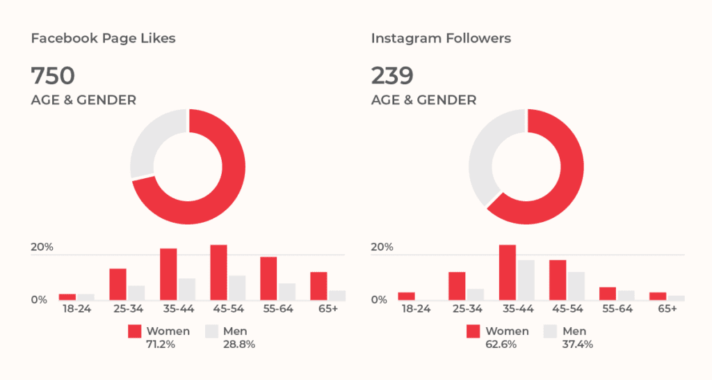 Graph showing page like and instagram followers