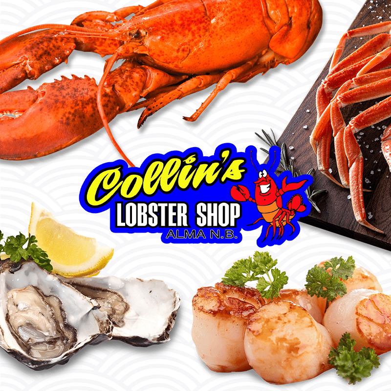Collins Lobster thumbnail