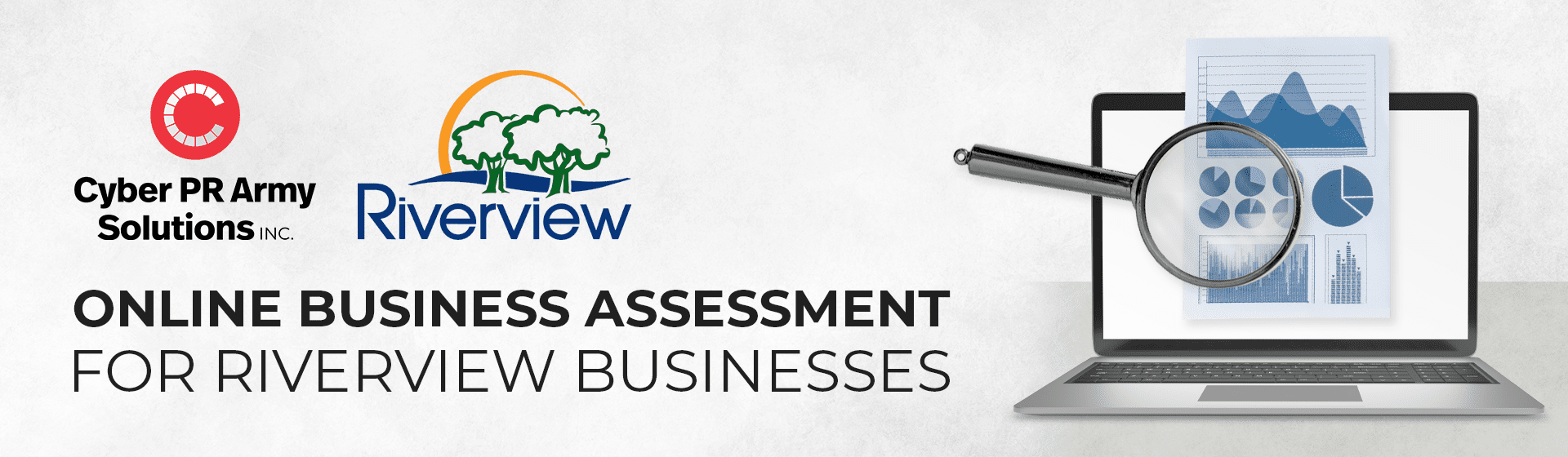 Online Business Assessment for Riverview Businesses